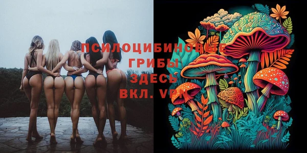 ECSTASY Аркадак