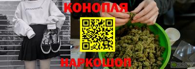 прущие грибы Ярославль