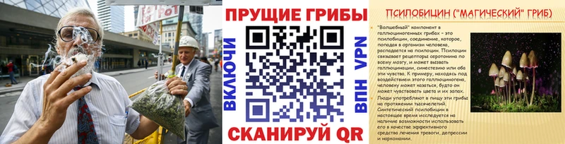 Псилоцибиновые грибы мицелий  МЕГА рабочий сайт  Реутов 
