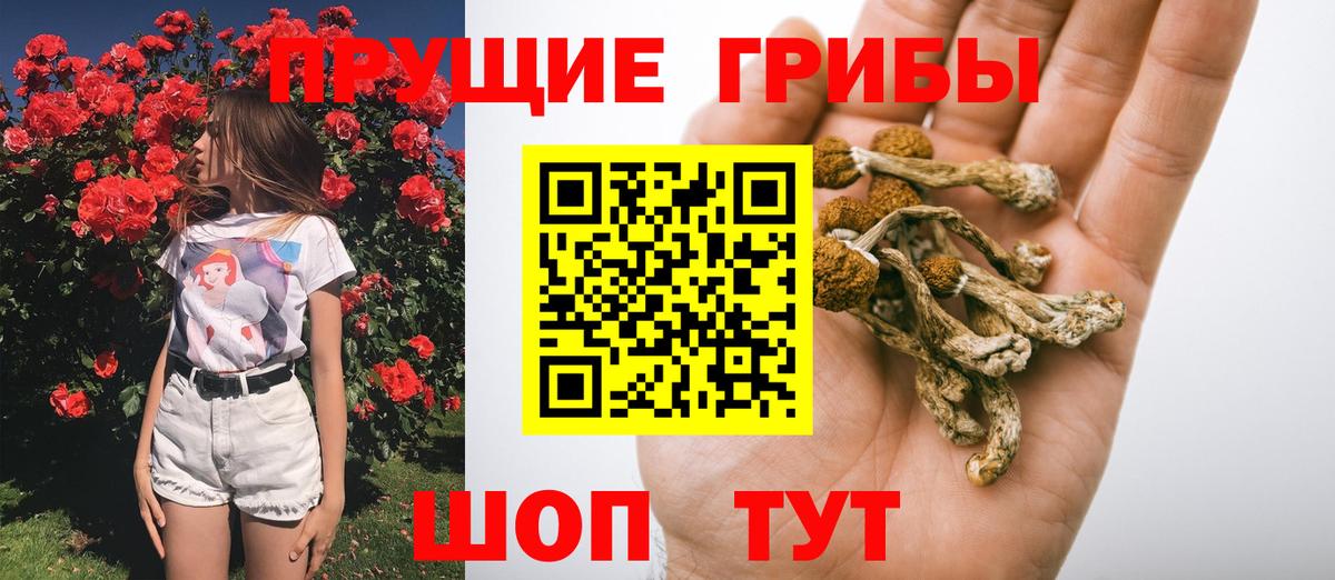 Реутов  Галлюциногенные грибы Magic Shrooms  Вход с VPN 