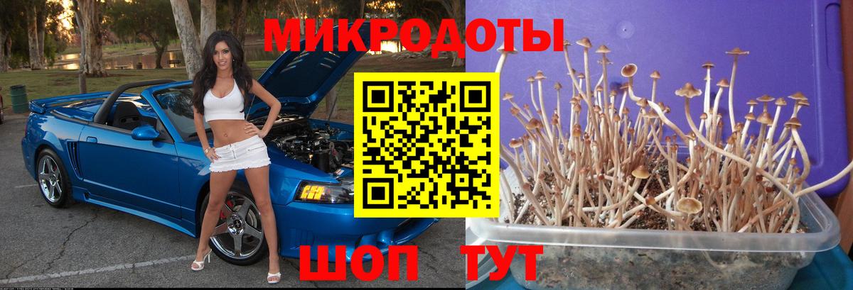 Галлюциногенные грибы мицелий Реутов