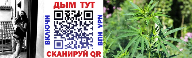 МАРИХУАНА SATIVA & INDICA  Реутов 